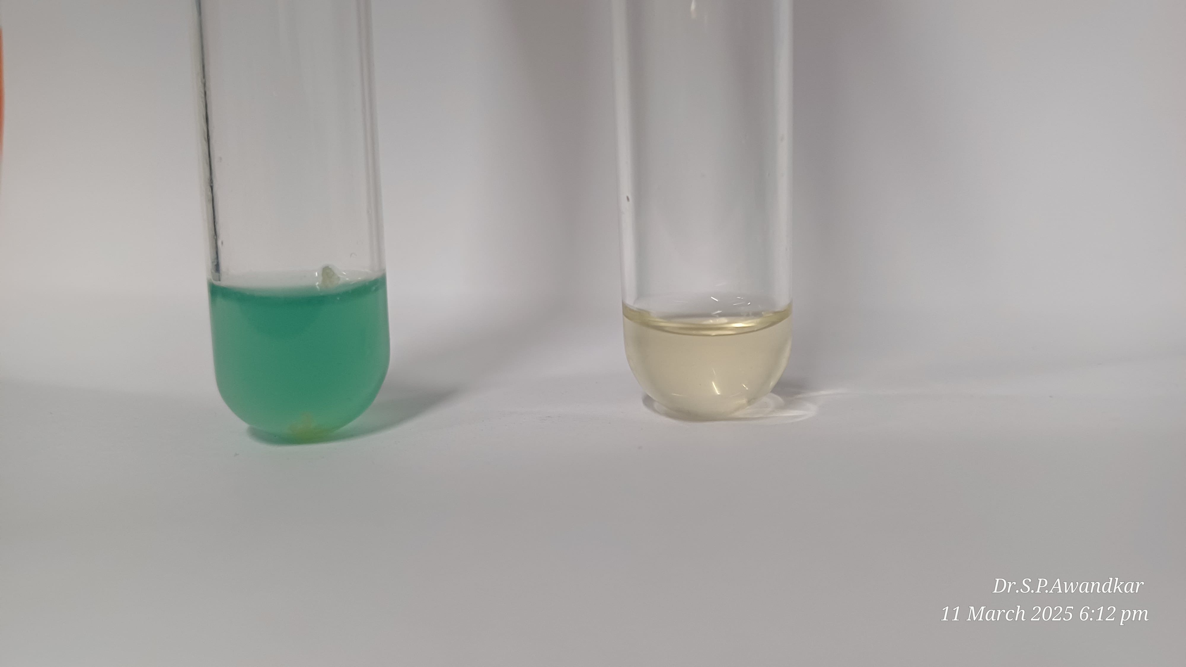 17. Pseudomonas Spp.